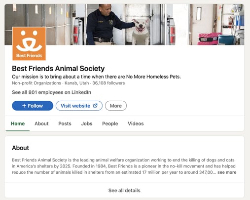 최고의 비영리 링크드인 프로필: 최고의 친구 동물 협회 홈페이지