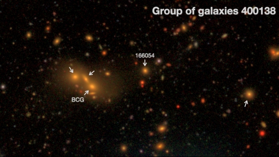 Extremely dim 'Intra-group light’ may be displaced stars gathered in stellar orphanage