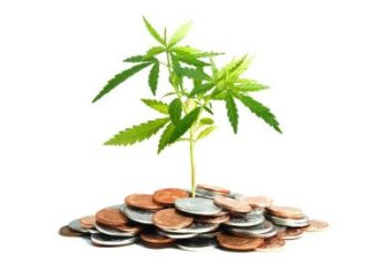 Canada's Cannabis Credit Union