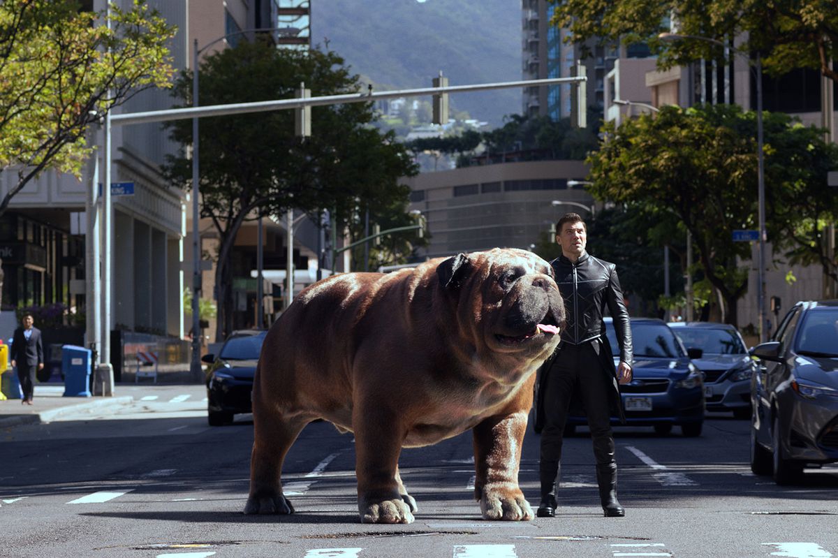 Black Bolt (Anson Mount) và Lockjaw, một chú chó bulldog có kích thước bằng một con tê giác, đứng giữa một con phố đông đúc trong Inhumans.
