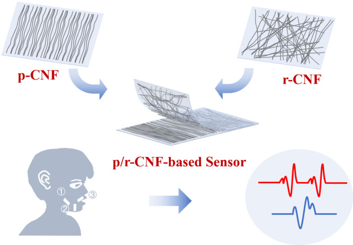El apilamiento de nanofibras de carbono con diferentes alineaciones mejora el rendimiento del sensor de deformación flexible