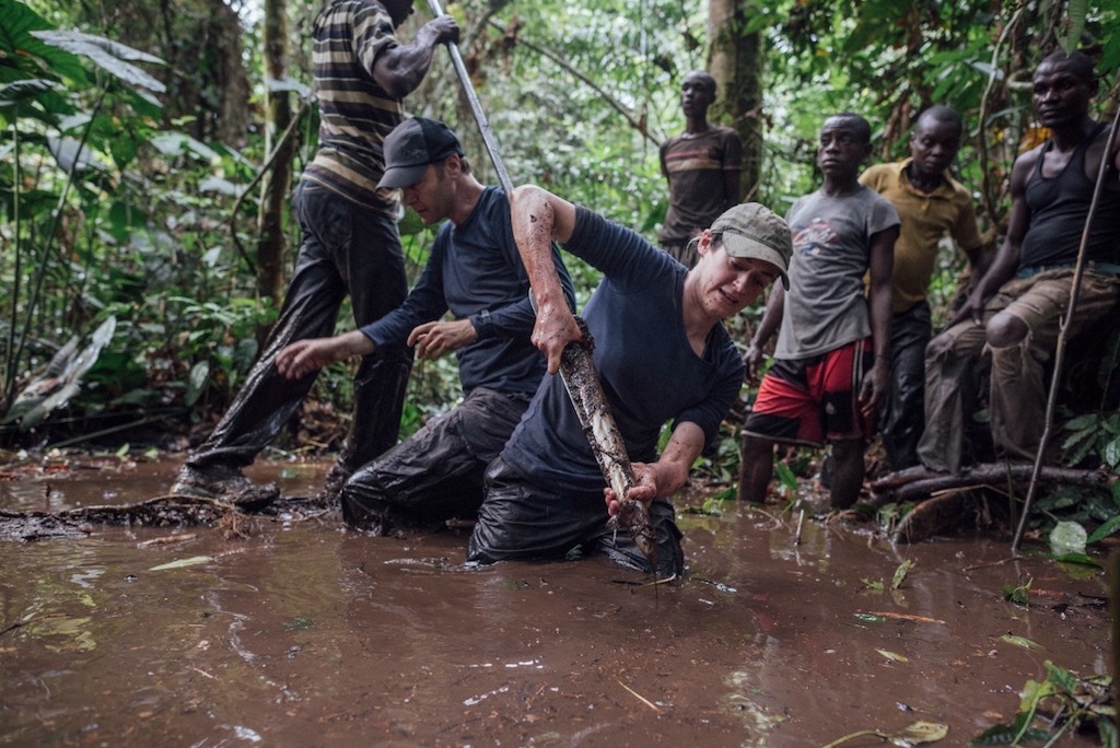 Taking a core sample in the Congo peatlands in the DRC. Credit: Greenpeace/Kevin McElvaney.