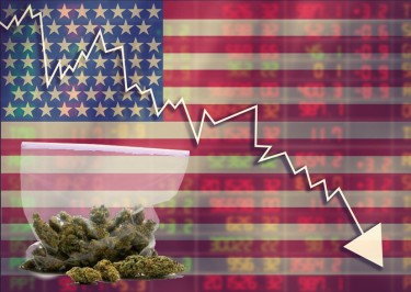 Cae el precio del cannabis
