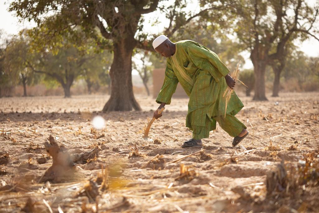 Mahammoud Traore attempts to farm in the dry and barren field outside his home in Barouéli, Mali, 22 February 2021. Image ID: 2GG4J7H.