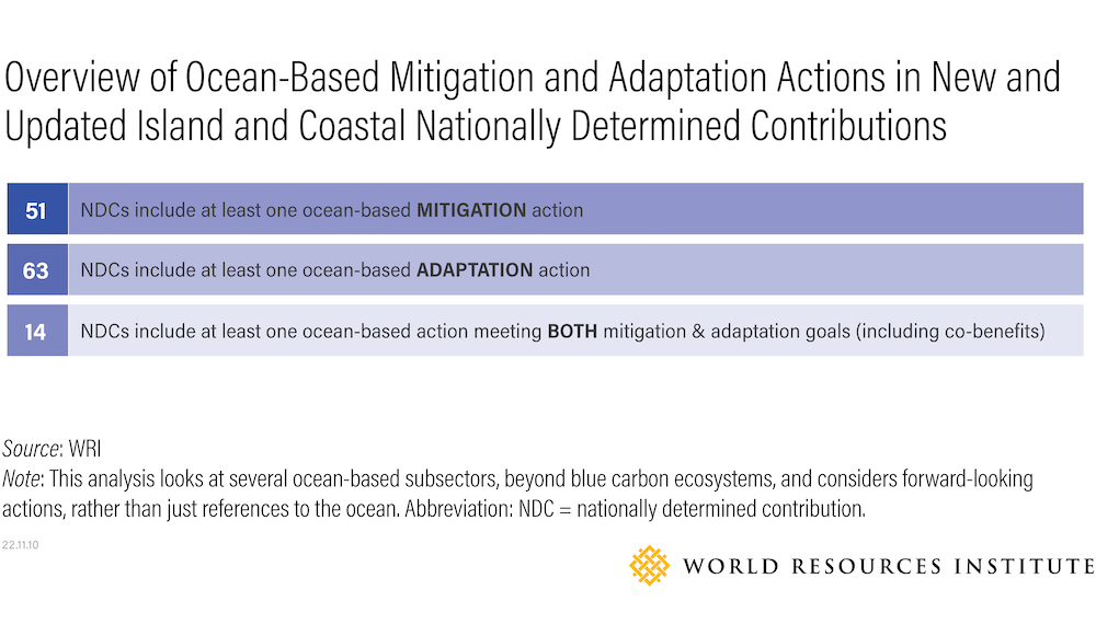 Ocean-based mitigation (Source: WRI)