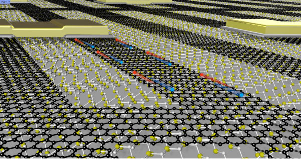 graphene device grown on a silicon carbide substrate chip