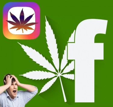 大麻に関するFacebookとIG