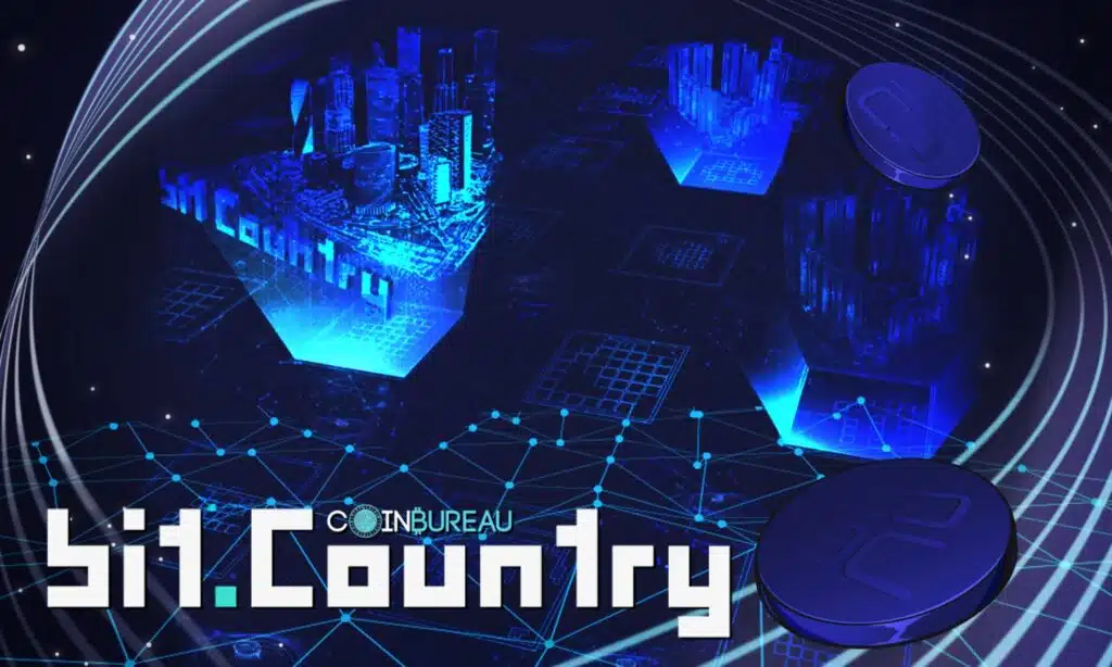 Bit.Country recension