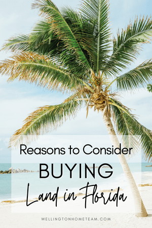Why Should You Consider Buying Land in Florida?