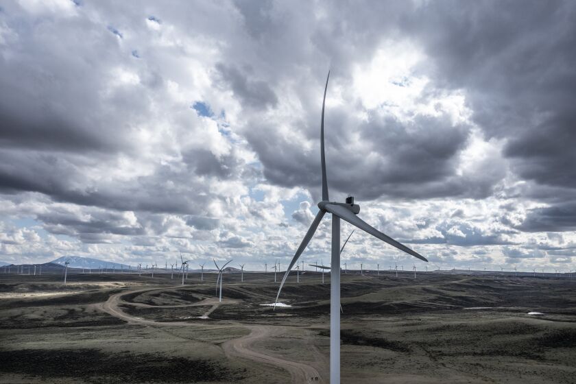 Honderden actieve turbines produceren stroom op het Ekola Flats-windpark van PacificCorps.