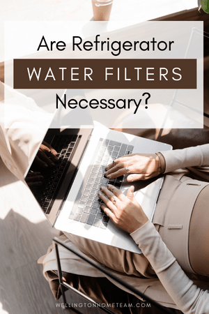 Are Refrigerator Water Filters Necessary?