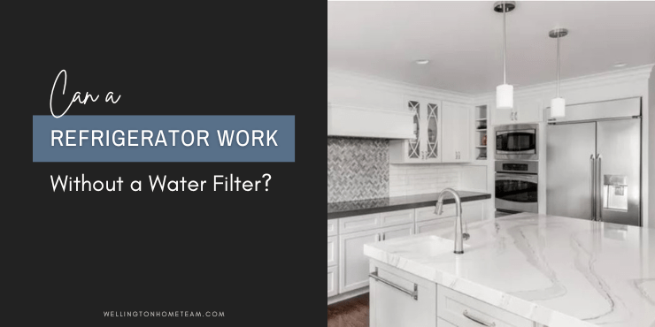 Can Your Refrigerator Work Without a Water Filter?
