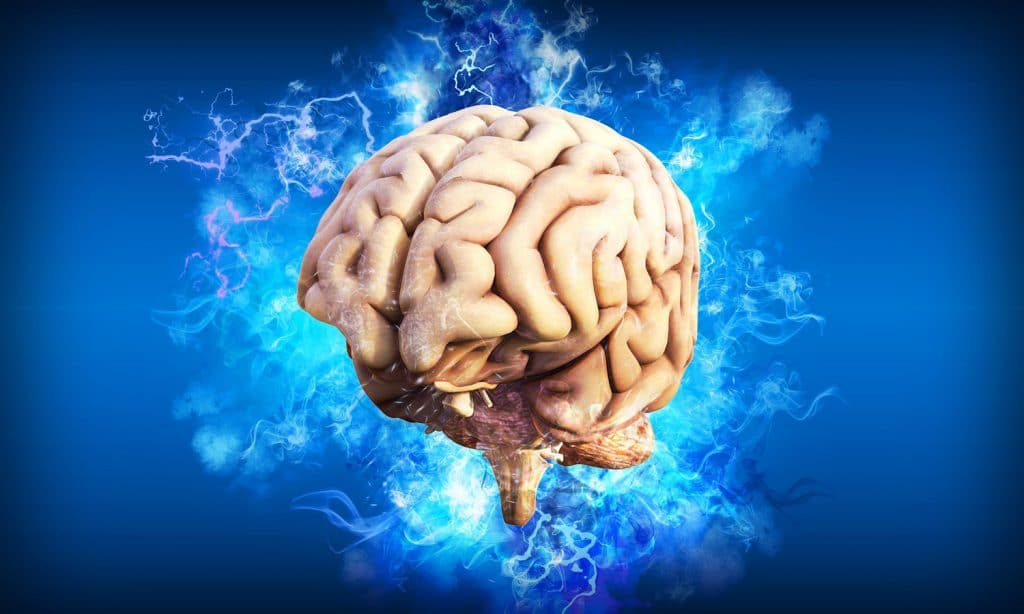 脳イメージング研究はCBDの抗精神病効果を調べます