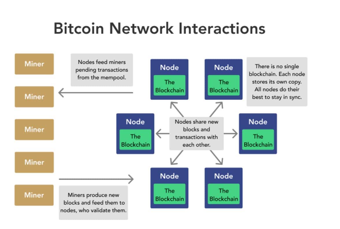 Bitcoin-Knoten vs. Bergleute