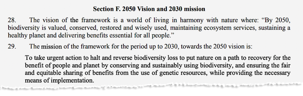セクション F. 2050 年ビジョンと 2030 年ミッション