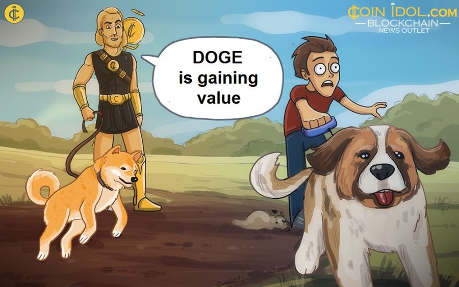 DOGE is gaining value 