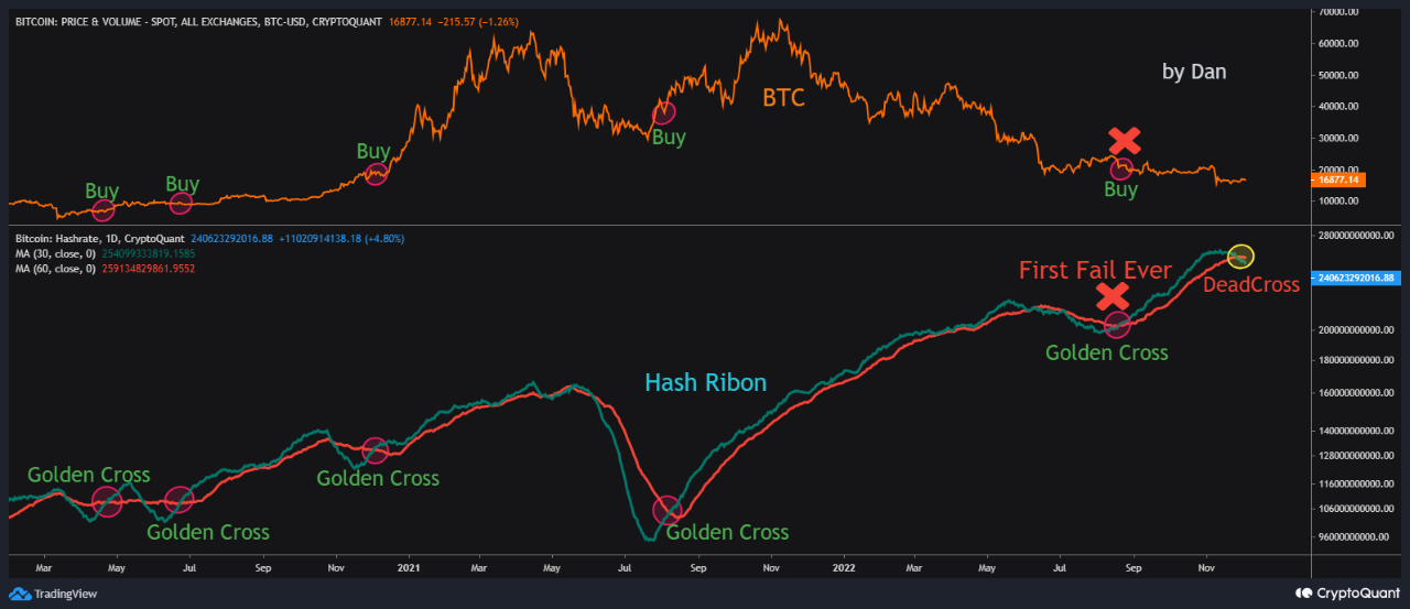 Bitcoin Hash Ribbon Golden Cross