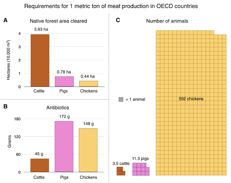 Requirements for 1 metric ton of meat production in OECD countries.