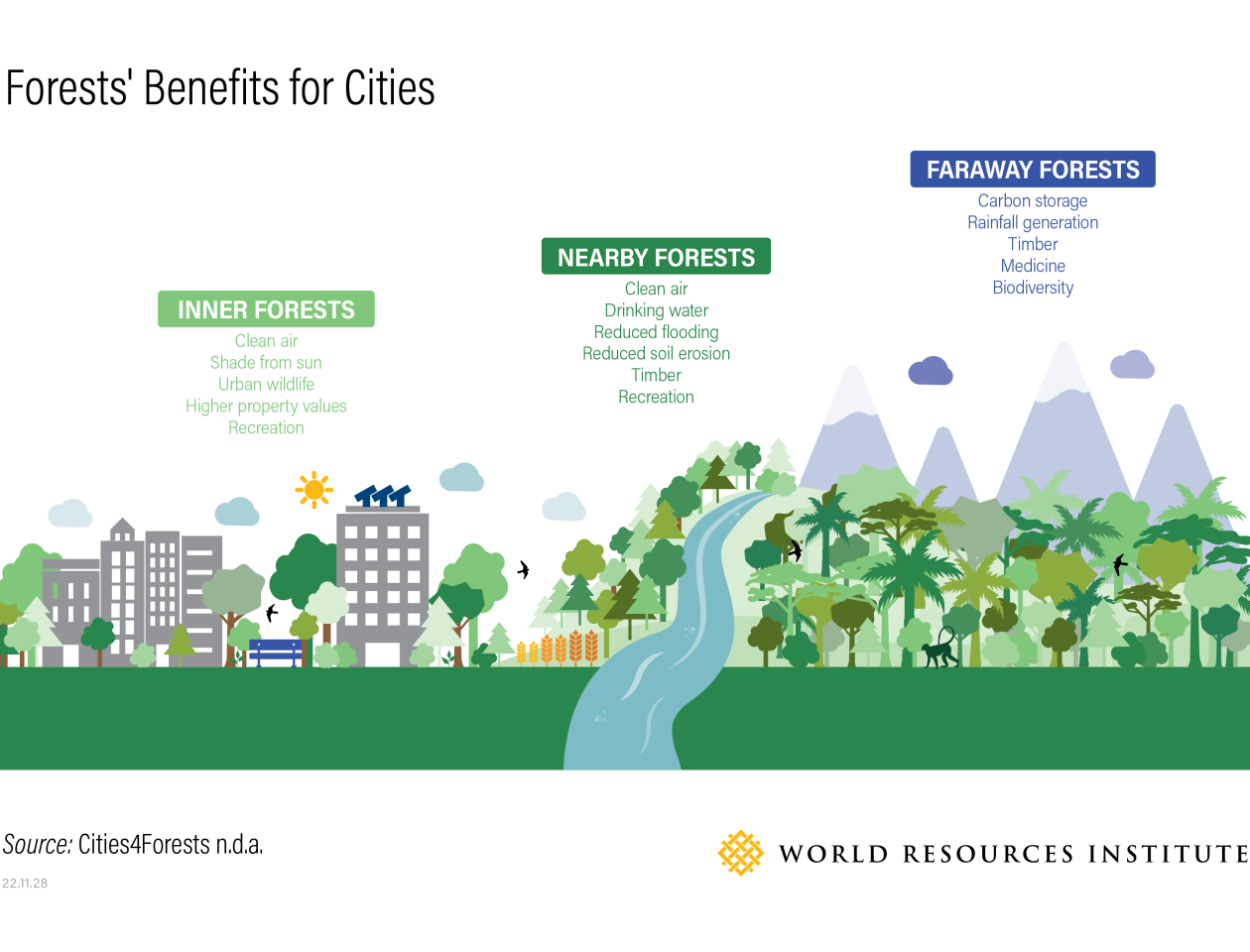 Wälder profitieren in Städten