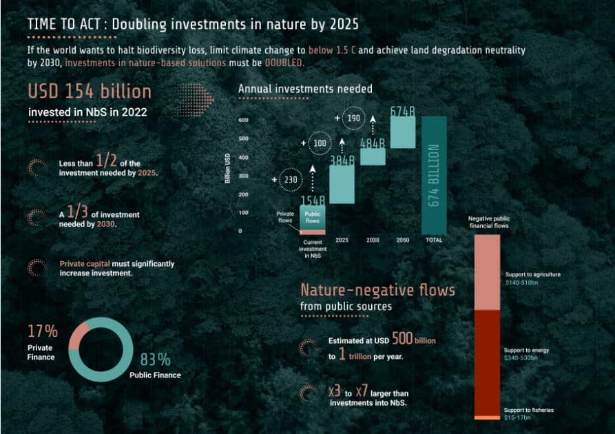 Verdoppelung der Investitionen in naturbasierte Lösungen
