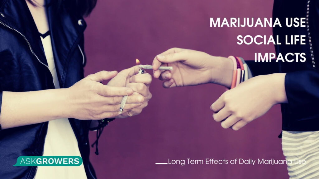 마리화나 사용: 사회 생활에 미치는 영향