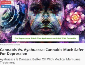 WHICH IS BETTER AYAHUASCA OR CANNABIS