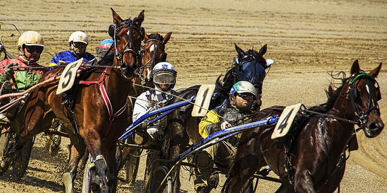 A Race at a Breeders Crown Event