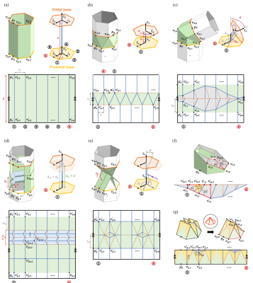Diagrams of "kinegami" folds for various modules and joint mechanism