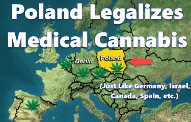 폴란드, 의료용 마리화나 합법화
