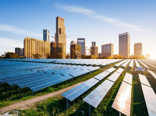 Sustainability Trends Solar Panels