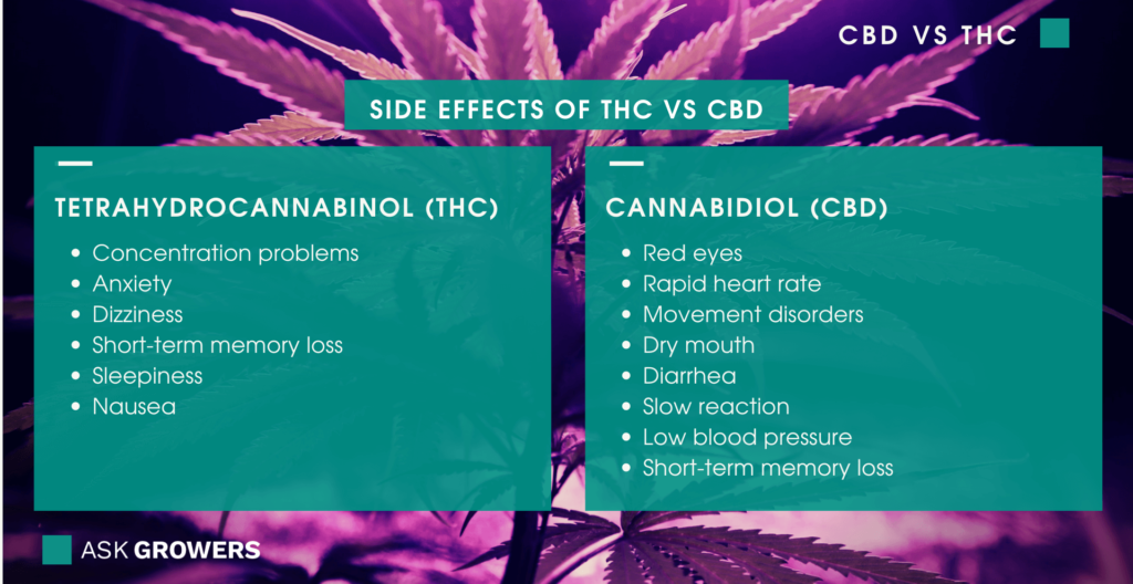 THC ve CBD'nin yan etkileri