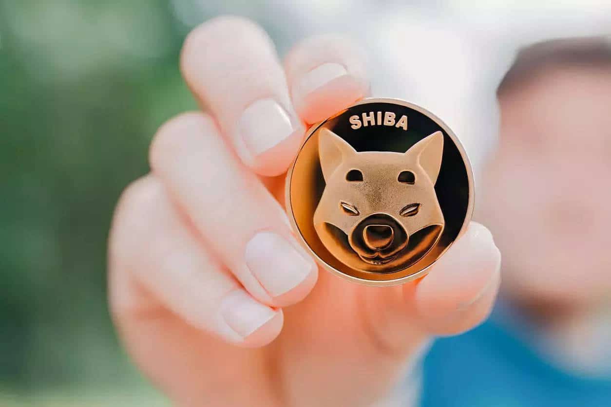 Shiba Inu Coin (SHIB) Price