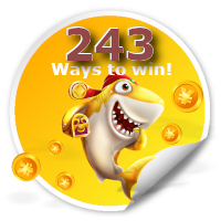 243 manieren om slots te winnen