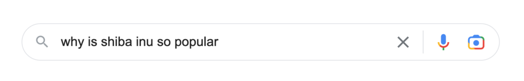 Cercando su Google la domanda Perché lo Shiba Inu è così popolare