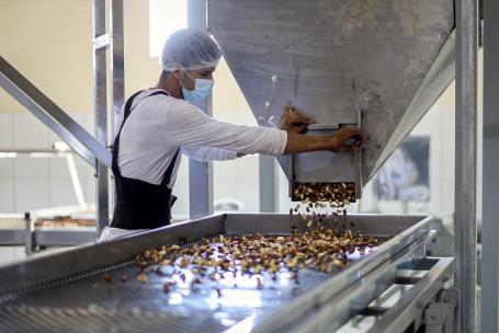 Brazil nut processing