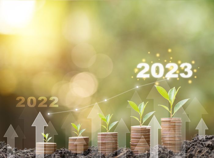 Investing in 2023 - A Quick Guide To Asset And Investment Management For 2023
