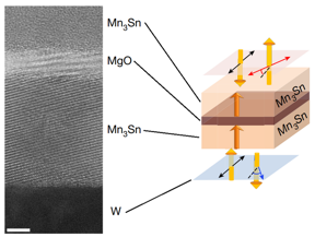 Hình ảnh kính hiển vi điện tử truyền qua có độ phân giải cao của tiếp giáp phản sắt từ cho thấy các lớp vật liệu khác nhau (trái). Biểu đồ thể hiện tính chất từ ​​của vật liệu (phải). TÍN DỤNG ©2023 Nakatsuji et al.