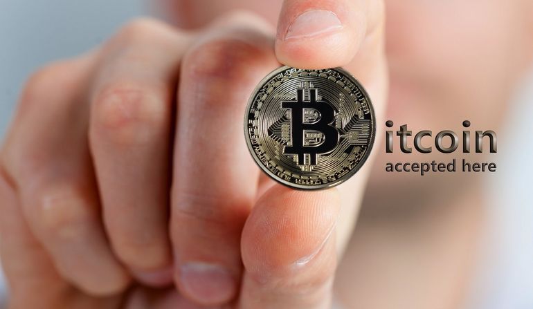 Pixabay anncapictures Bitcoin accepted - Everything You Need to Know About Crypto License