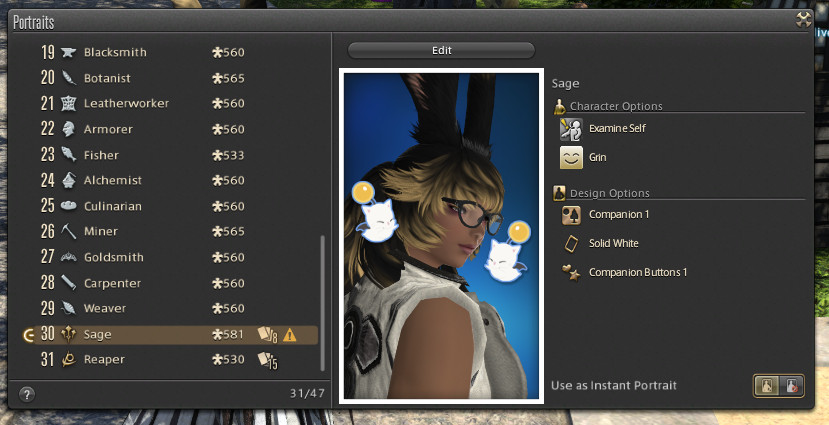 A portrait menu in FFXIV, with an error noting that the Sage portrait has an issue