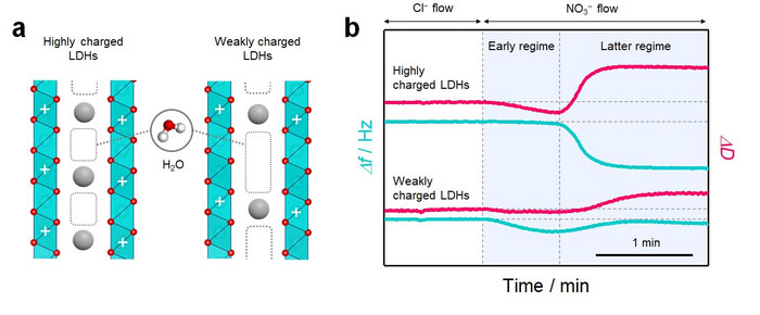 Schematic of the interlayer structure in layered materials with different host charge densities