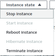 Stopping the instance and terminating if needed