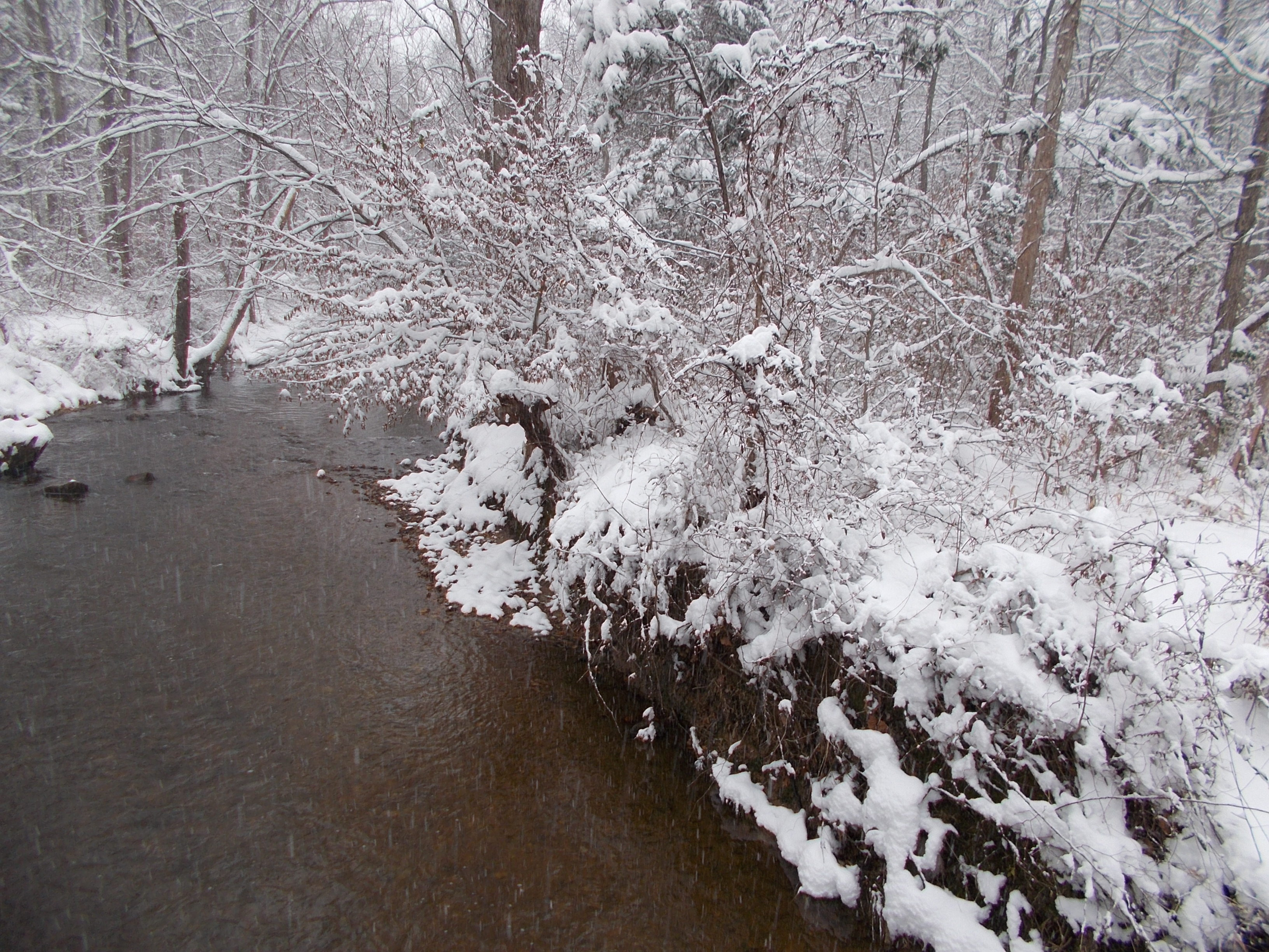 Pohick Creek un jour d'hiver