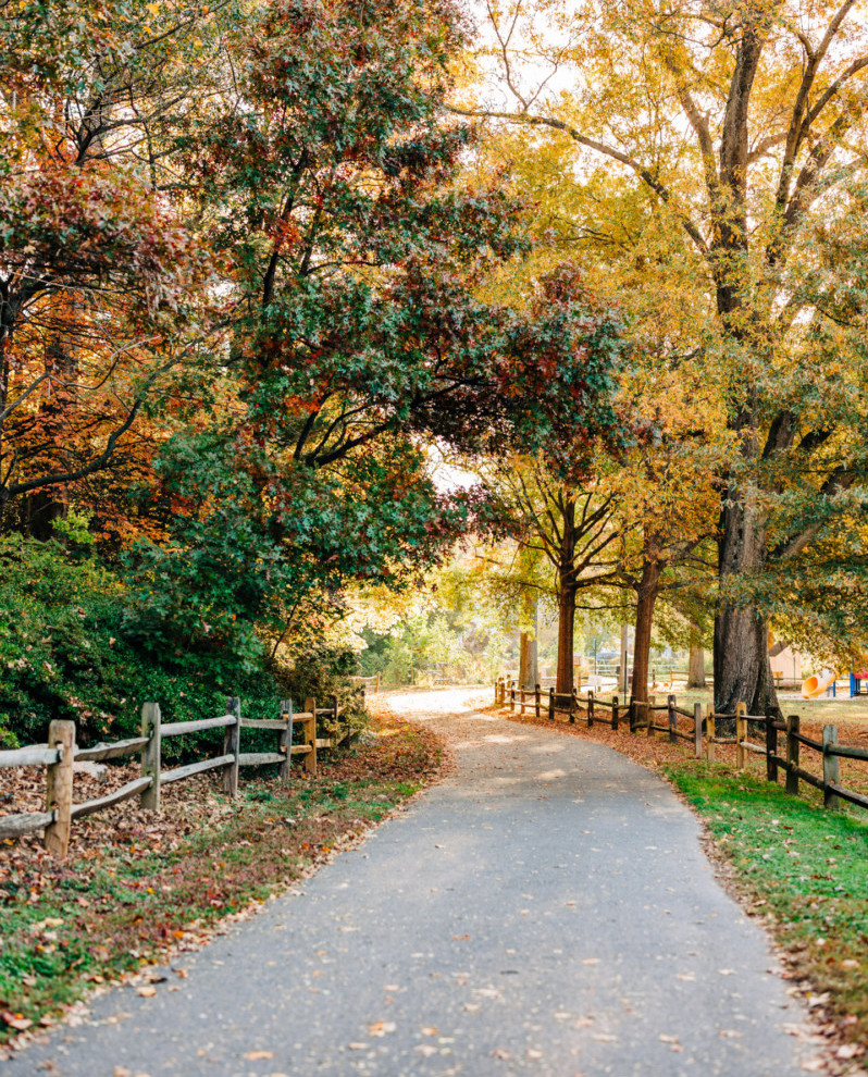 Chemin traversant le parc Bon Air avec des feuilles tombant