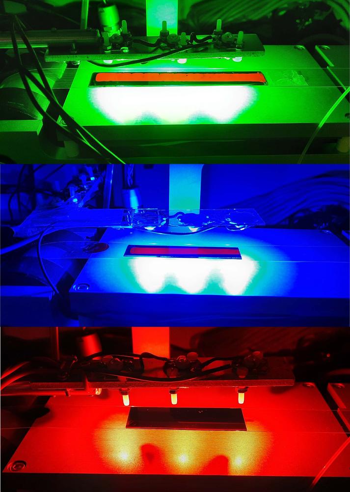 green, blue and red illumination of wet films