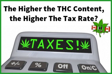 THCレベルに基づく雑草へのより高い税金