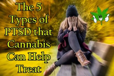 TYPES OF PTSD CANNABIS CAN HELP