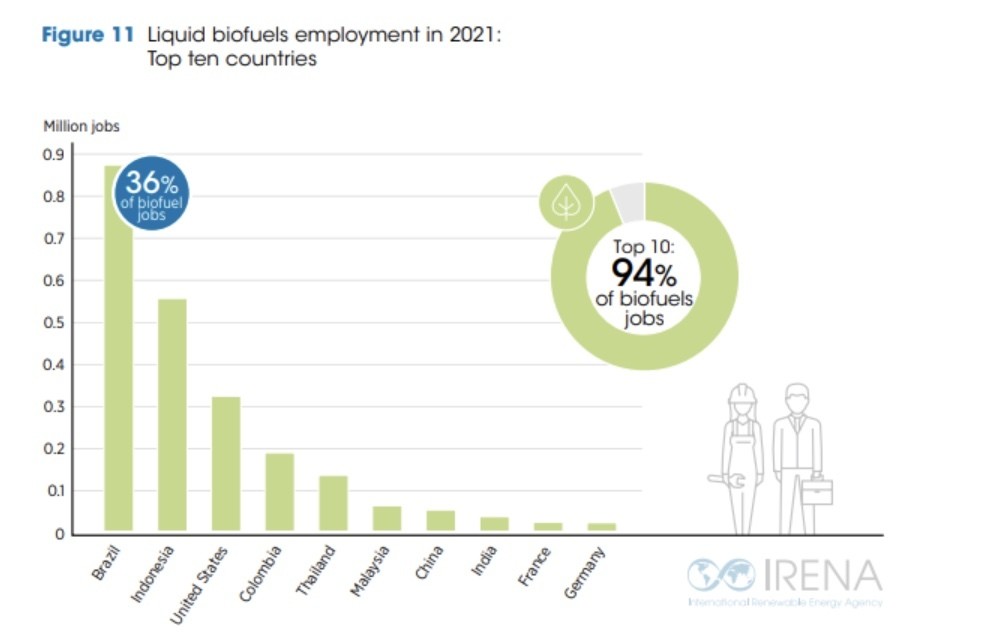 Liquid biofuels employment in 2021 in the top ten countries