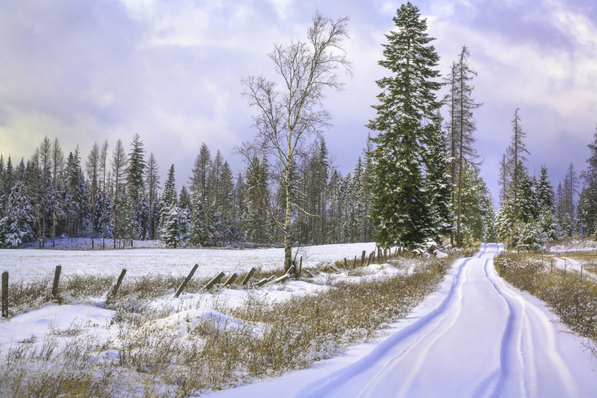 besneeuwde landweg op het platteland van Noord-Idaho