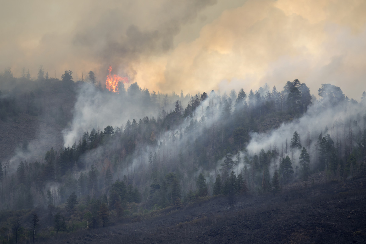 クリスティン湖の森林火災 玄武岩山 コロラド州 ロッキー山脈 山火事の煙