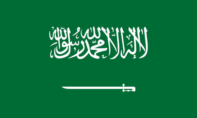 Saudi Arabia’s megacity and the metaverse